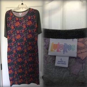 Lularoe Julia dress